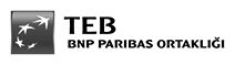 TEB